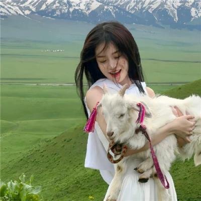 从养鸡种树到万界共主