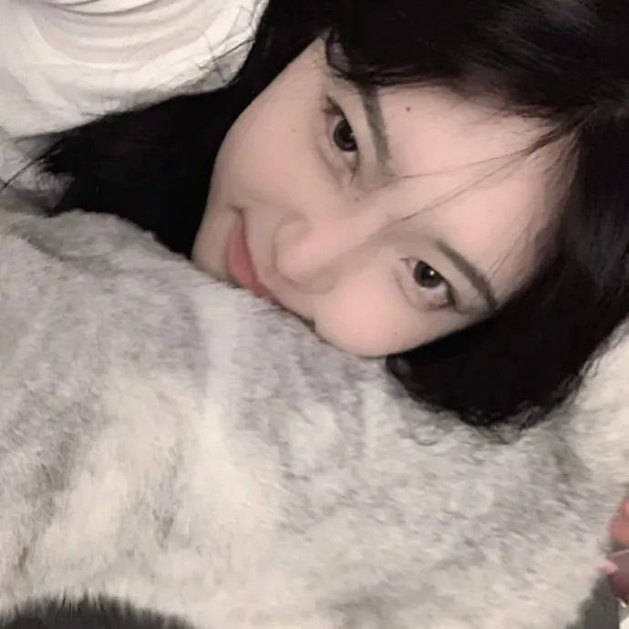 厨神特工开局一把杀猪刀